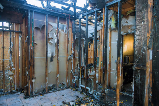 Professional Fire Damage Assessment technician working in Clarkston Heights-Vineland, WA